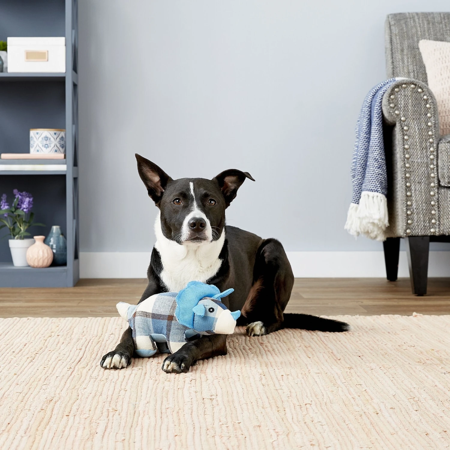 Multipet Plaidosaurus Squeaky Plush Dog Toy, Character Varies 5 Multipet Plaidosaurus Squeaky Plush Dog Toy, Character Varies - Image 3