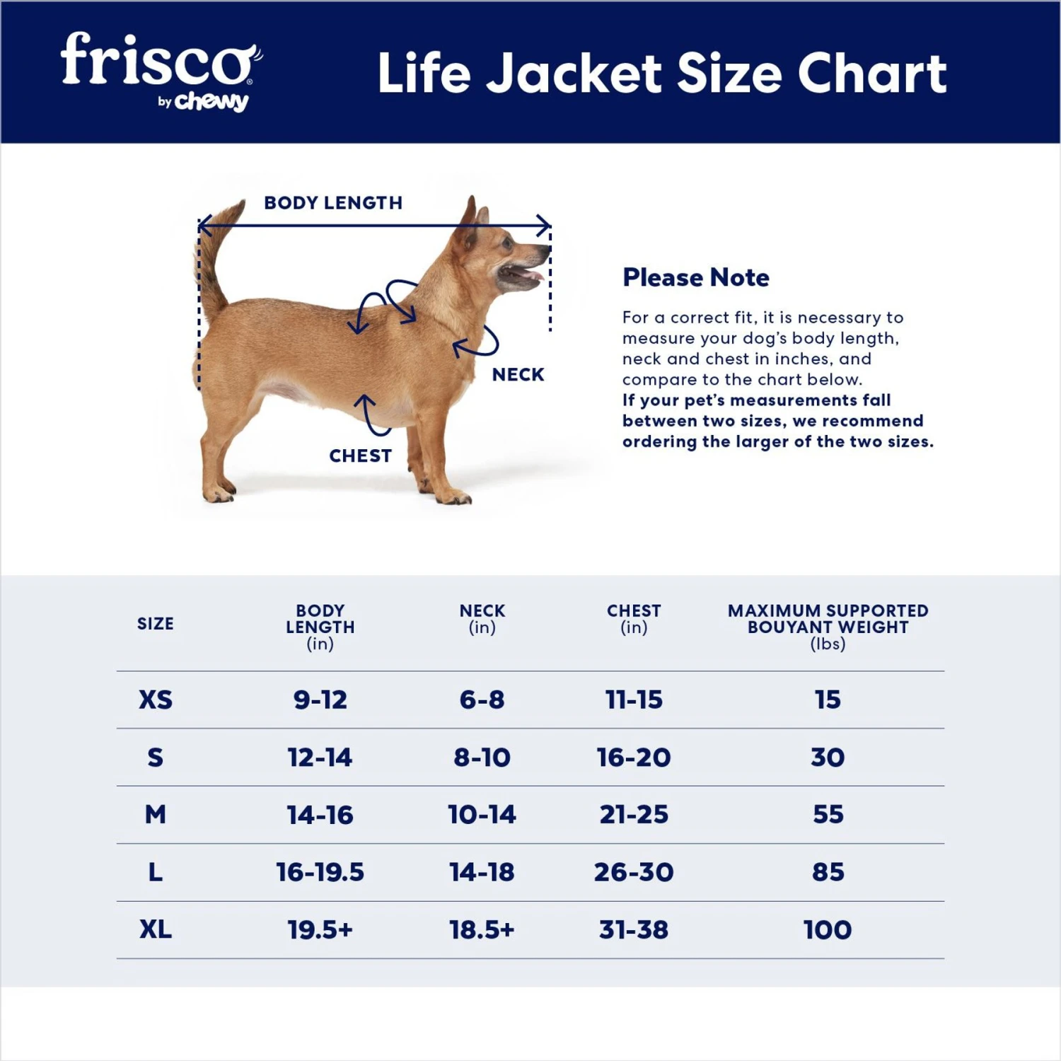 Frisco Neoprene Dog Life Jacket 4 Frisco Neoprene Dog Life Jacket - Image 2