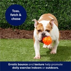 Frisco Fetch Squeaky TPR Ball Dog Toy -Dog Supplies 152801 PT4. AC SS1800 V1686580091
