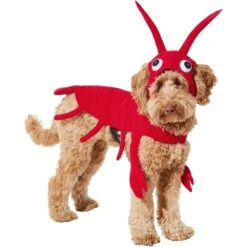 Frisco Red Lobster Dog & Cat Costume 12 Frisco Red Lobster Dog & Cat Costume -Dog Supplies 158723 PT2. AC SS1800 V1659023725