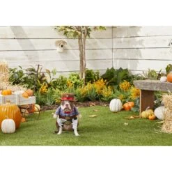 Frisco Front Walking Cowboy Dog & Cat Costume -Dog Supplies 158842 PT3. AC SS1800 V1567176047