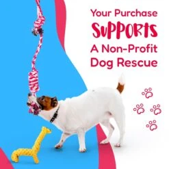Pacific Pups Rescue Assorted Rope Dog Toys 13 Pacific Pups Rescue Assorted Rope Dog Toys -Dog Supplies 159359 PT2. AC SS1800 V1701935706