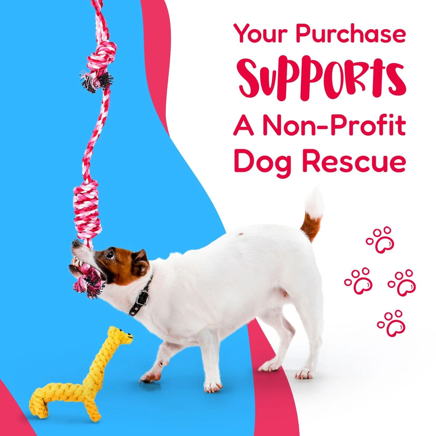 Pacific Pups Rescue Assorted Rope Dog Toys 5 Pacific Pups Rescue Assorted Rope Dog Toys - Image 3