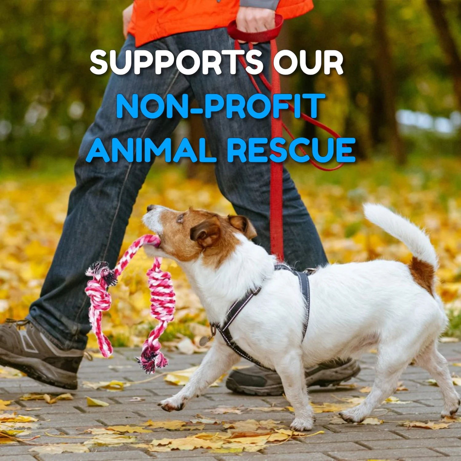 Pacific Pups Rescue Assorted Rope Dog Toys 11 Pacific Pups Rescue Assorted Rope Dog Toys - Image 9