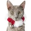 Frisco Jingle Bells Dog & Cat Holiday Collar With Bells, 1 Count 2 Frisco Jingle Bells Dog & Cat Holiday Collar With Bells, 1 Count -Dog Supplies 160063 MAIN. AC SS1800 V1663948848