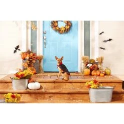 Frisco Vampire Cape Dog & Cat Costume -Dog Supplies 160793 PT3. AC SS1800 V1567176564