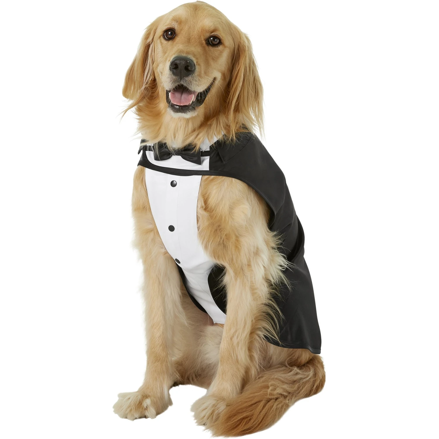 Frisco Formal Dog & Cat Tuxedo, Black 3 Frisco Formal Dog & Cat Tuxedo, Black