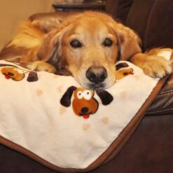 Smart Pet Love Snuggle Puppy Comfortable Beginnings New Puppy Starter Kit Puppy -Dog Supplies 160903 PT6. AC SS1800 V1667518093