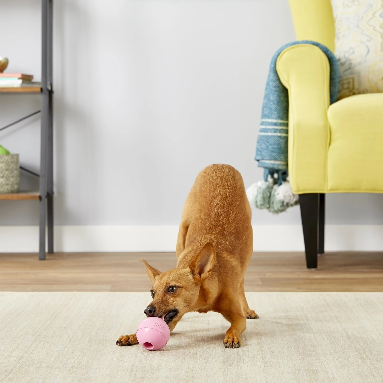 KONG Stuffable Puppy Ball Dog Toy, Color Varies 5 KONG Stuffable Puppy Ball Dog Toy, Color Varies - Image 3