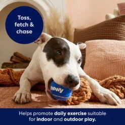 Frisco Chewy Fetch Squeaky Tennis Ball Dog Toy -Dog Supplies 164314 PT5. AC SS1800 V1691783910