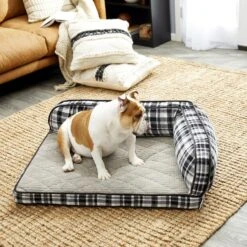La-Z-Boy Sadie Orthopedic Bolster Dog Bed With Removable Cover -Dog Supplies 164614 PT5. AC SS1800 V1578084847