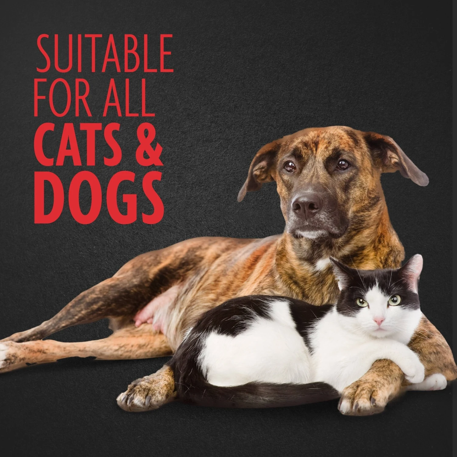 FURminator Personal Hair Sweeper 6 FURminator Personal Hair Sweeper - Image 4