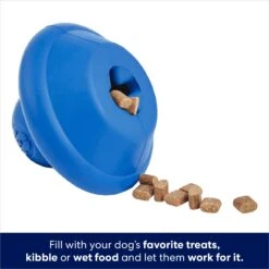 Frisco Flying Saucer Rubber Treat Dispenser Dog Toy -Dog Supplies 164757 PT3. AC SS1800 V1686579570