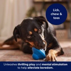 Frisco Flying Saucer Rubber Treat Dispenser Dog Toy -Dog Supplies 164757 PT5. AC SS1800 V1691784247