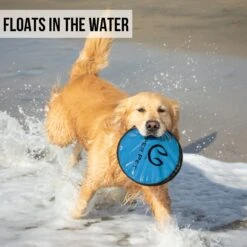 Hyper Pet Flippy Flopper Flying Disc Dog Toy -Dog Supplies 169579 PT3. AC SS1800 V1631051199