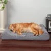 FurHaven Ultra Plush Luxe Lounger Orthopedic Cat & Dog Bed With Removable Cover 1 FurHaven Ultra Plush Luxe Lounger Orthopedic Cat & Dog Bed With Removable Cover -Dog Supplies 172406 MAIN. AC SS1800 V1625252295