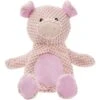 Frisco Pig Textured Plush Squeaky Dog Toy 2 Frisco Pig Textured Plush Squeaky Dog Toy -Dog Supplies 174695 Main. AC SS1800 V1572616376