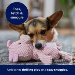 Frisco Pig Textured Plush Squeaky Dog Toy -Dog Supplies 174695 PT4. AC SS1800 V1695670689