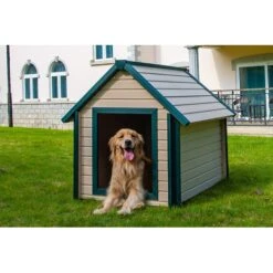 New Age Pet EcoFLEX Bunk Style Dog House 11 New Age Pet EcoFLEX Bunk Style Dog House -Dog Supplies 175308 PT4. AC SS1800 V1563816718