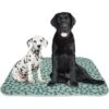 Rocket & Rex Washable Cat Pee Pads -Dog Supplies 180486 Main. AC SS1800 V1565099221