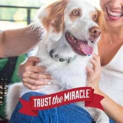 Nature's Miracle Advanced Platinum Dog Antibacterial Stain Remover & Odor Eliminator Spray, 32-oz Bottle -Dog Supplies 183004 PT8. AC SS1800 V1701116418