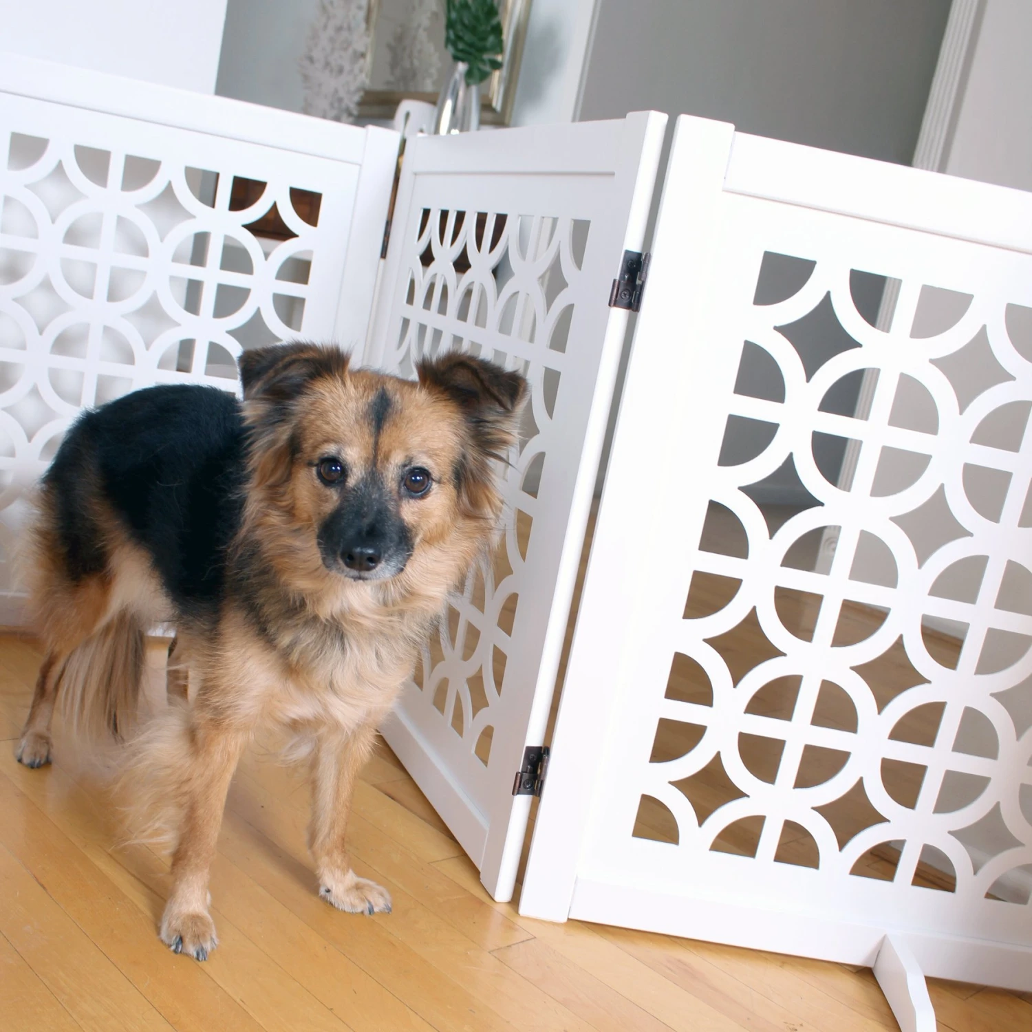 Primetime Petz Palm Springs Designer Pet Gate 5 Primetime Petz Palm Springs Designer Pet Gate - Image 3