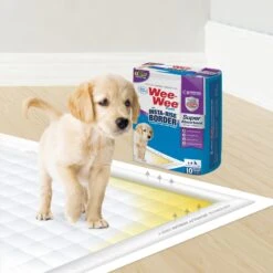 Four Paws Wee-Wee Super Absorbent Dog Pee Pads With Insta-Rise Border 16 Four Paws Wee-Wee Super Absorbent Dog Pee Pads With Insta-Rise Border -Dog Supplies 192218 PT5. AC SS1800 V1663018022