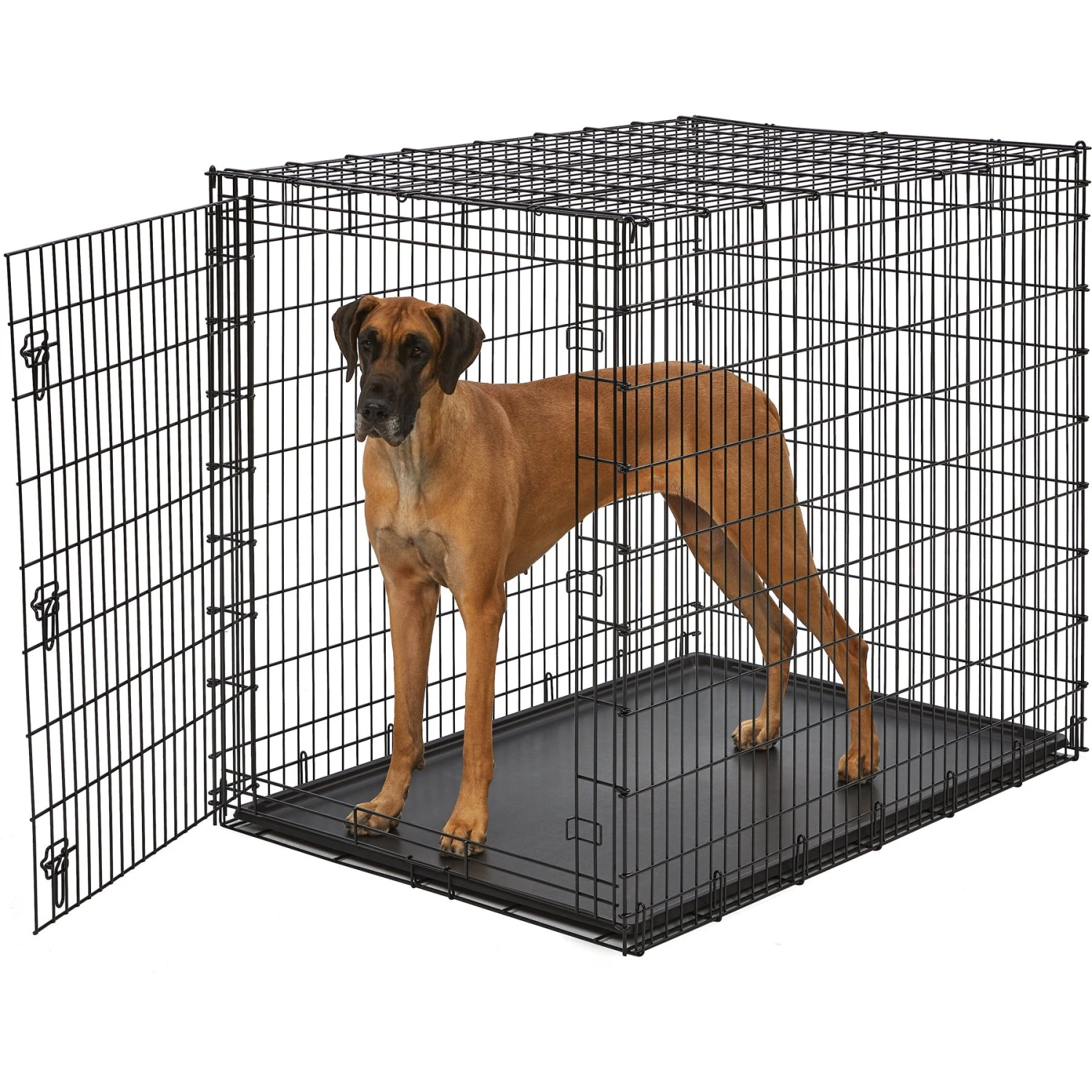 MidWest Solution Series XX-Large Heavy Duty Single Door Dog Crate, 54 Inch 3 MidWest Solution Series XX-Large Heavy Duty Single Door Dog Crate, 54 Inch