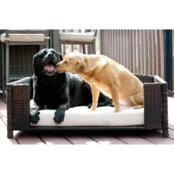 Iconic Pet Rattan Rectangular Sofa Cat & Dog Bed With Removable Cover, Espresso -Dog Supplies 192464 PT2. AC SS1800 V1568755967