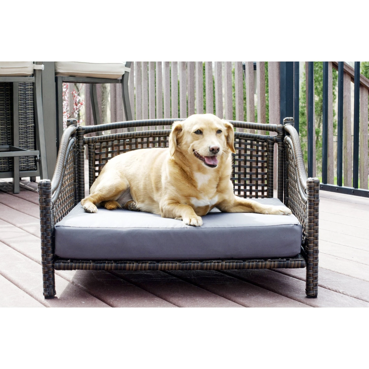 Iconic Pet Maharaja Rattan Sofa Cat & Dog Bed With Removable Cover, Caramel & Mocha 3 Iconic Pet Maharaja Rattan Sofa Cat & Dog Bed With Removable Cover, Caramel & Mocha
