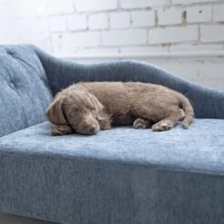 La-Z-Boy Chaise Furniture Sofa Dog Bed -Dog Supplies 192829 PT4. AC SS1800 V1597880835
