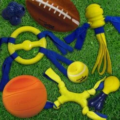 Nylabone Power Play Football Gripz Dog Toy -Dog Supplies 195430 PT7. AC SS1800 V1605655964