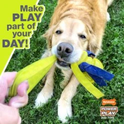 Nylabone Power Play Interactive Shake-a-Toss Dog Toy -Dog Supplies 195440 PT3. AC SS1800 V1658769889