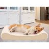 FurHaven Ultra Plush Luxe Lounger Memory Foam Dog Bed With Removable Cover 1 FurHaven Ultra Plush Luxe Lounger Memory Foam Dog Bed With Removable Cover -Dog Supplies 198898 MAIN. AC SS1800 V1627003897