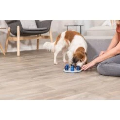 TRIXIE Solitaire Dog Activity Strategy Game Dog Toy -Dog Supplies 207413 PT5. AC SS1800 V1668617385