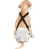 Paw Inspired Dog Diaper Suspenders -Dog Supplies 208513 MAIN. AC SS1800 V1640877682