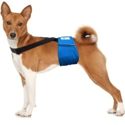 Paw Inspired Dog Diaper Suspenders -Dog Supplies 208513 PT3. AC SS1800 V1640880407