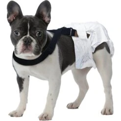Paw Inspired Dog Diaper Suspenders -Dog Supplies 208513 PT4. AC SS1800 V1640882002
