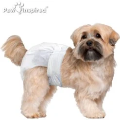 Paw Inspired Ultra Protection Disposable Female Dog Diapers 13 Paw Inspired Ultra Protection Disposable Female Dog Diapers -Dog Supplies 208521 PT3. AC SS1800 V1613698928
