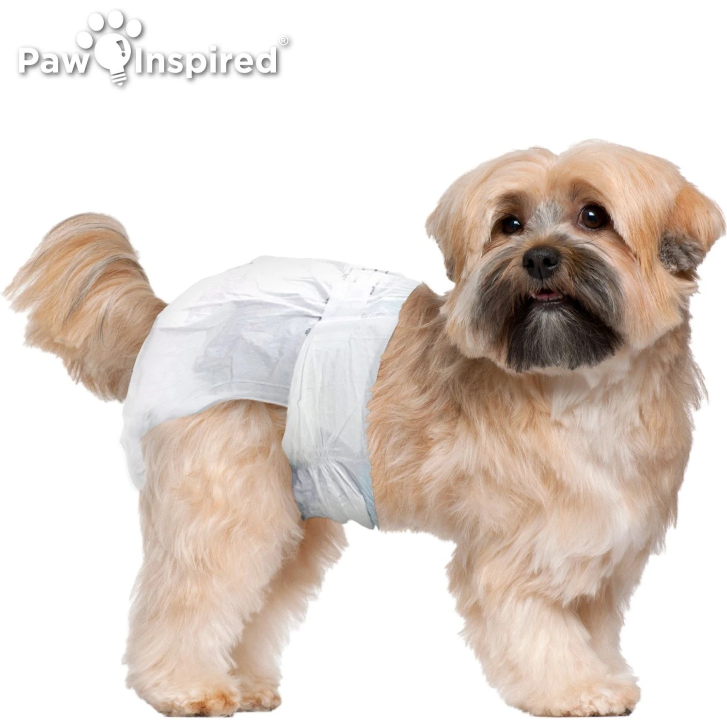 Paw Inspired Ultra Protection Disposable Female Dog Diapers 6 Paw Inspired Ultra Protection Disposable Female Dog Diapers - Image 4