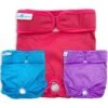Paw Inspired Washable Female Dog Diaper -Dog Supplies 208541 MAIN. AC SS1800 V1631156186
