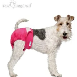 Paw Inspired Washable Female Dog Diaper -Dog Supplies 208541 PT3. AC SS1800 V1631148400