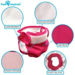 Paw Inspired Washable Female Dog Diaper -Dog Supplies 208541 PT6. AC SS1800 V1631159198