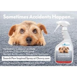 Paw Inspired Washable Female Dog Diaper -Dog Supplies 208541 PT8. AC SS1800 V1582728182