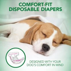 Vet's Best Comfort-Fit Disposable Female Dog Diapers -Dog Supplies 213071 PT2. AC SS1800 V1575652089