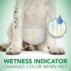 Vet's Best Comfort-Fit Disposable Female Dog Diapers -Dog Supplies 213071 PT5. AC SS1800 V1575652100