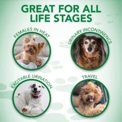 Vet's Best Comfort-Fit Disposable Female Dog Diapers -Dog Supplies 213071 PT6. AC SS1800 V1575652103