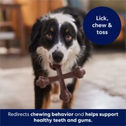 Frisco Bacon Flavor Tough Nylon Dog Chew Toy 12 Frisco Bacon Flavor Tough Nylon Dog Chew Toy -Dog Supplies 213430 PT5. AC SS1800 V1691783968