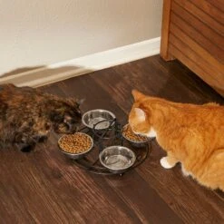 Frisco Multi Pet Feeding 4-Bowls Stainless Steel Dog & Cat Bowls, 0.5 Cup -Dog Supplies 213787 PT6. AC SS1800 V1599091021