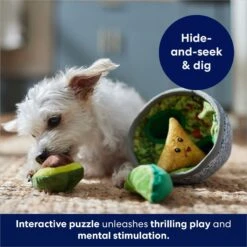 Frisco Guacamole Hide & Seek Puzzle Plush Squeaky Dog Toy -Dog Supplies 213830 PT5. AC SS1800 V1695748356